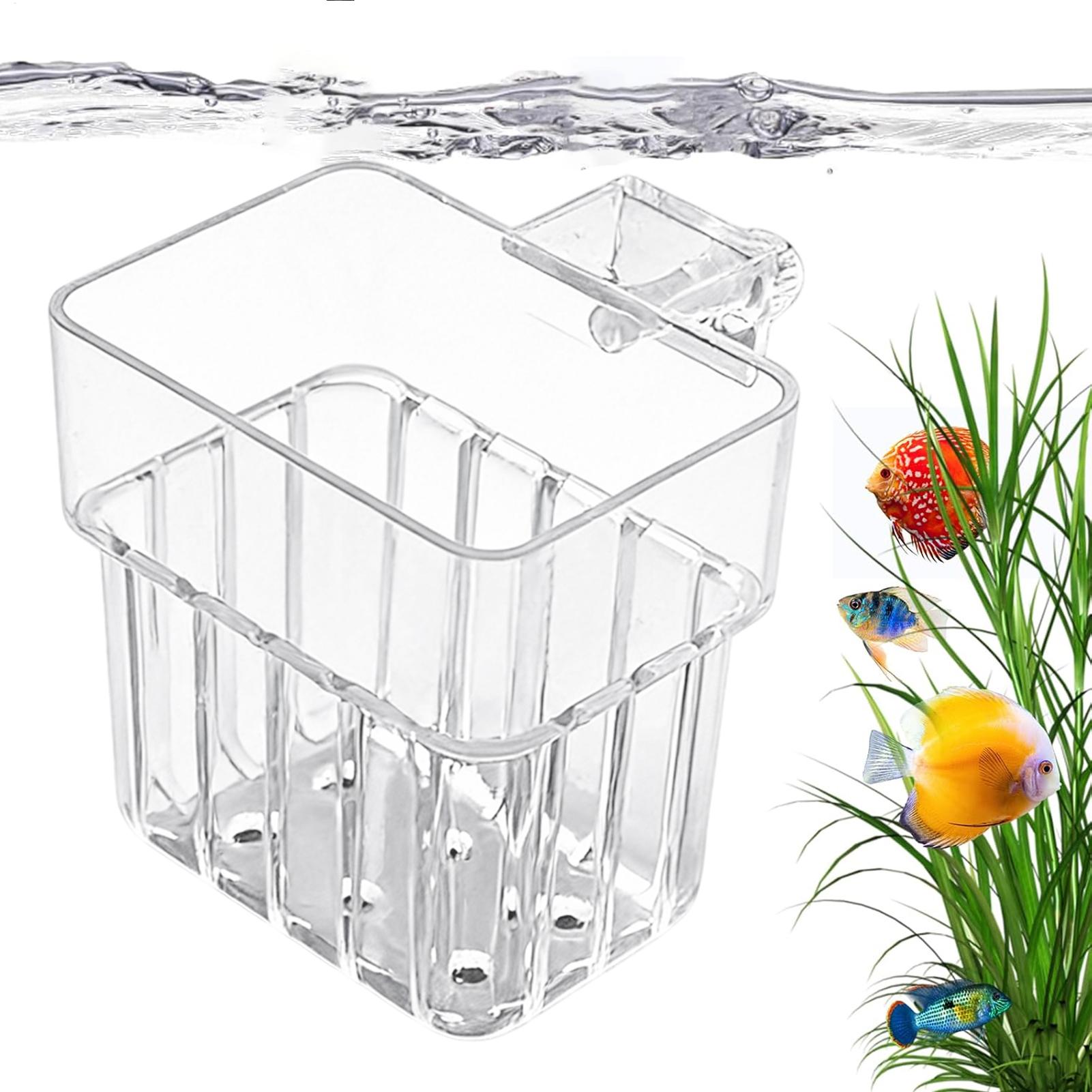 Aquarium Plants Live - Maceta Transparente Colgante para Plantas de