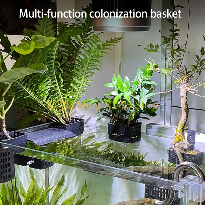 Aquarium Plant Holder - X22D Contenedor montado en pared plástico