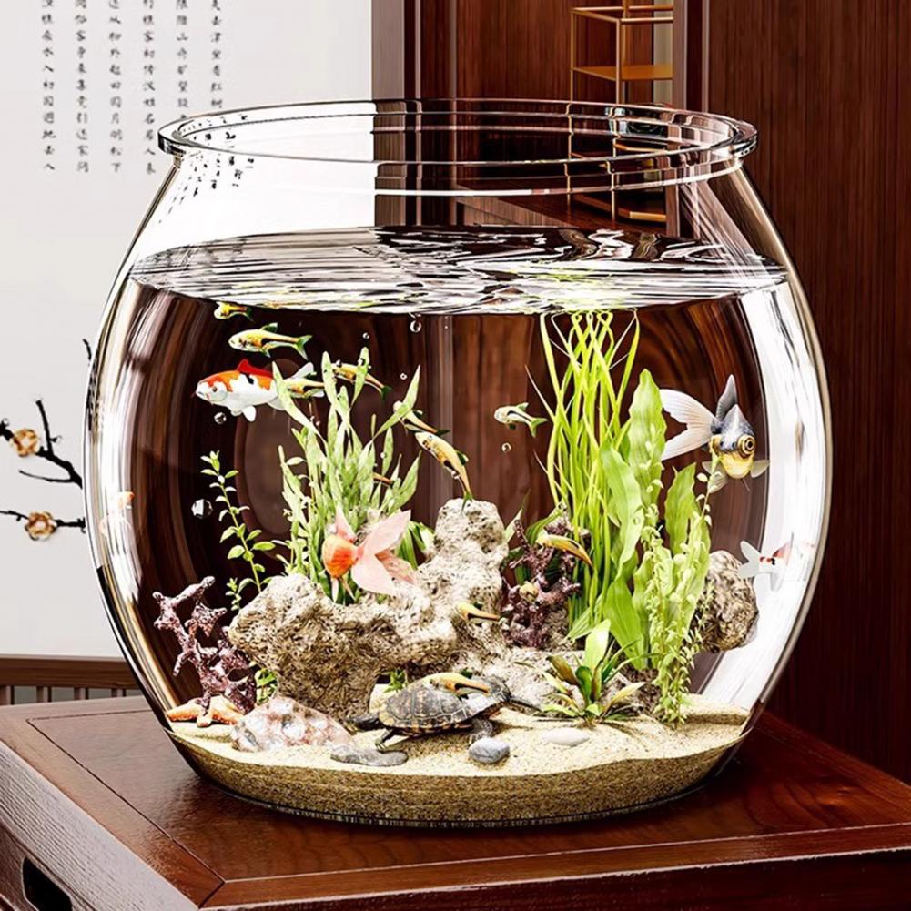 Plant Aquarium Pot - Pecera redonda de plástico transparente para
