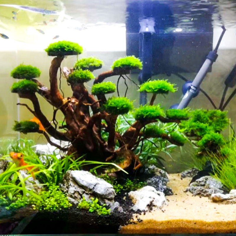 Aquarium Plant Substrate - Decoración para Acuarios: Esqueleto de Árbol