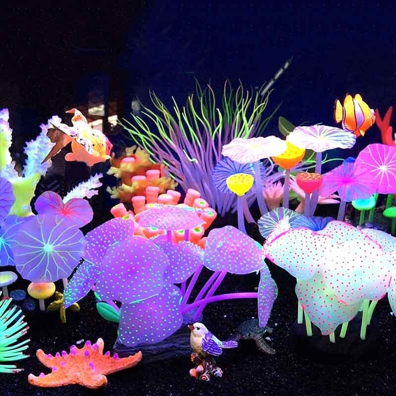 Decoración Subacuática para Ac - Aquarium Plants Live reseña y precio