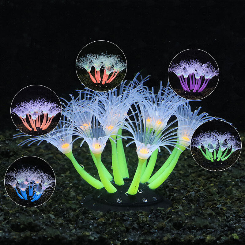 Decoración Subacuática para Ac - Aquarium Plants Live reseña y precio