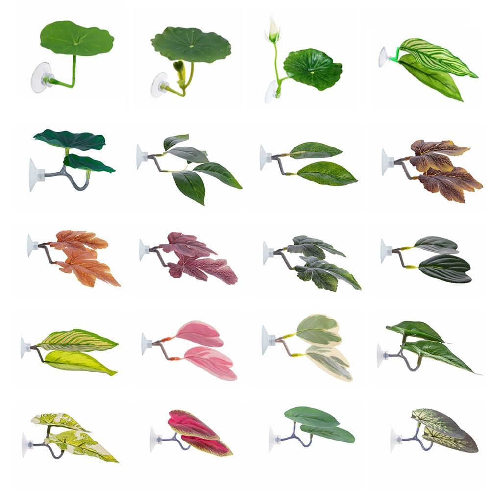 Hoja de descanso de pescado Be - Aquarium Plants Live reseña y precio