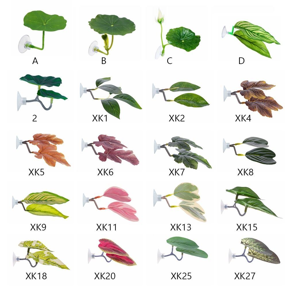 Hoja de descanso de pescado Be - Aquarium Plants Live reseña y precio
