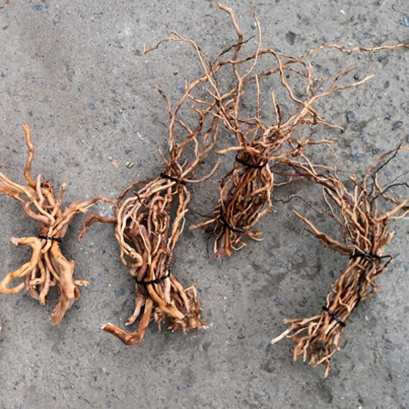 Tronco de Madera Natural para  - Aquarium Driftwood reseña y precio