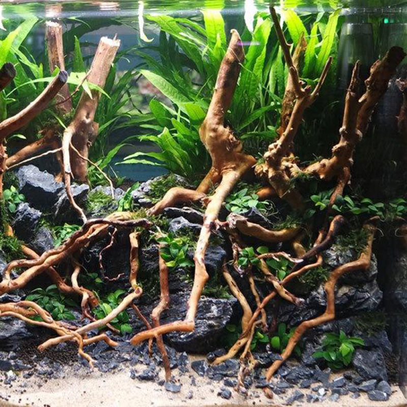 Tronco de Madera Natural para  - Aquarium Driftwood reseña y precio
