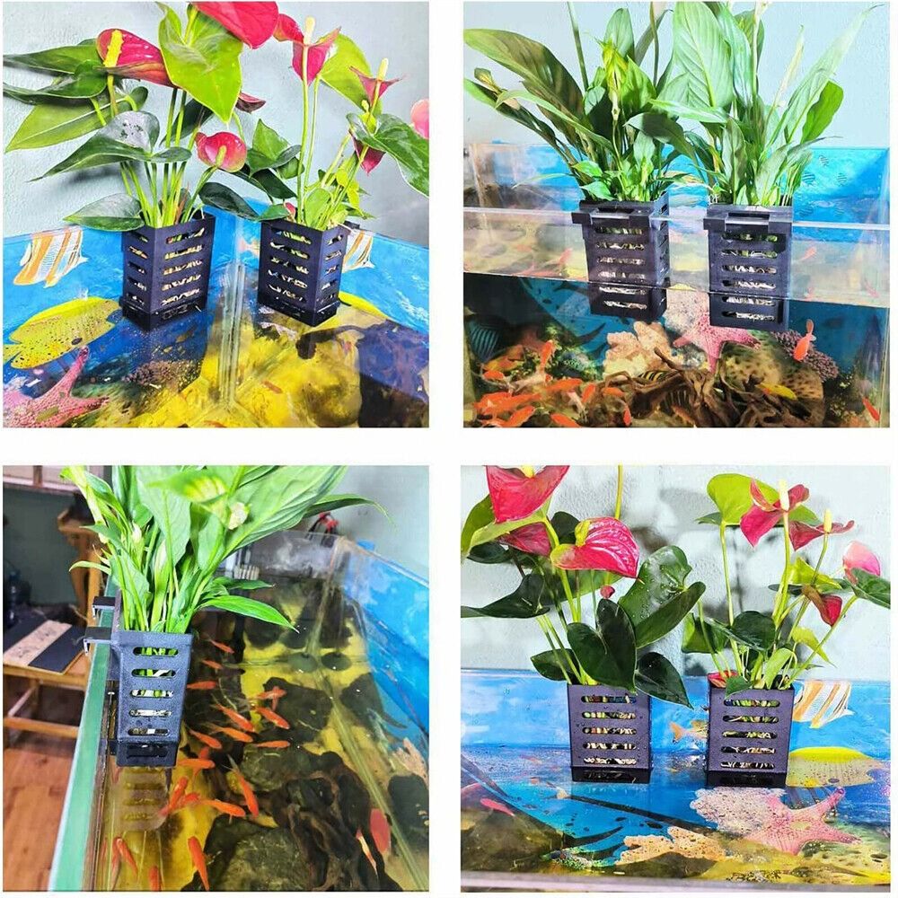 Soporte para plantas de pecera - Aquarium Plant Holder reseña y precio