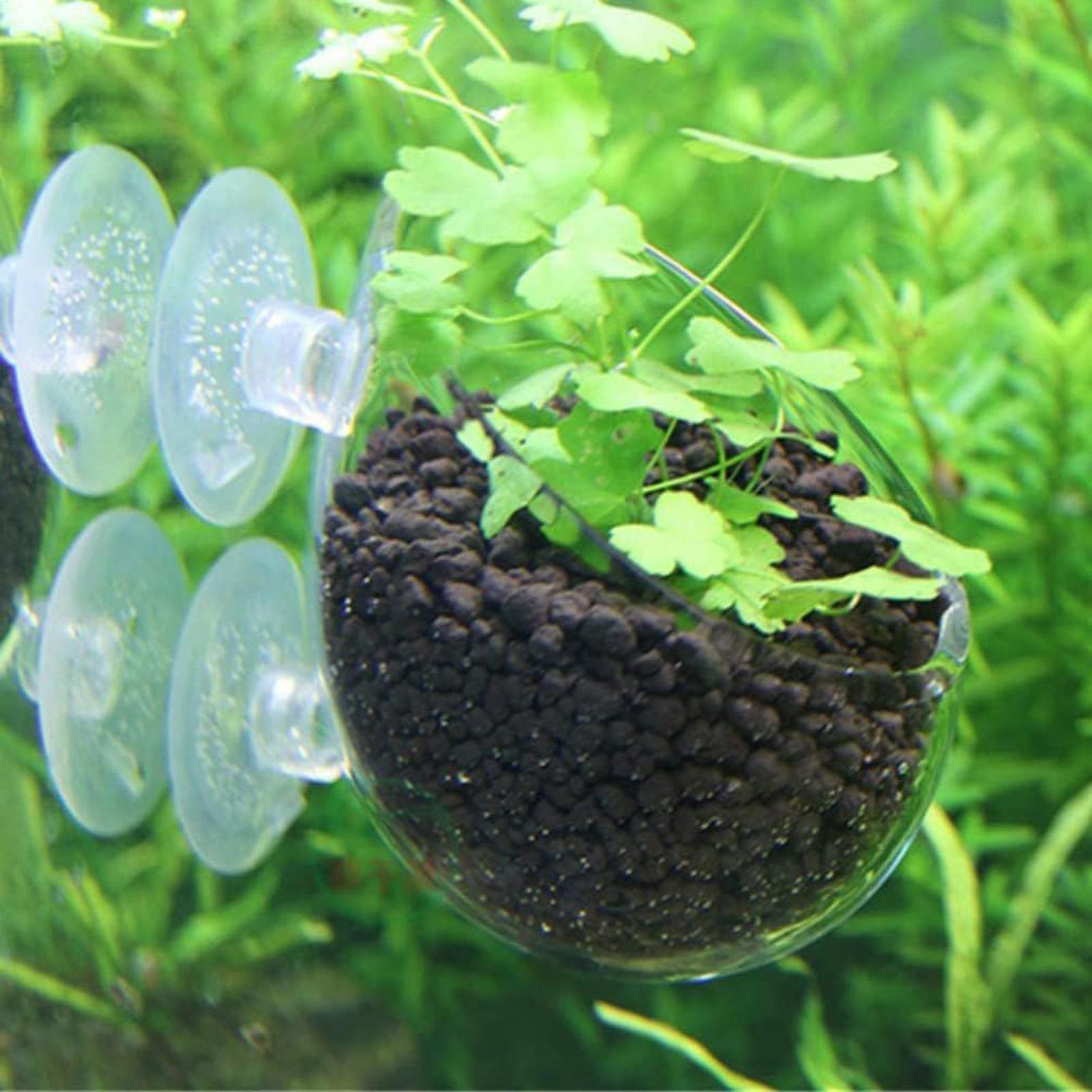 Soporte para Plantas de Acuari - Plant Aquarium Pot reseña y precio