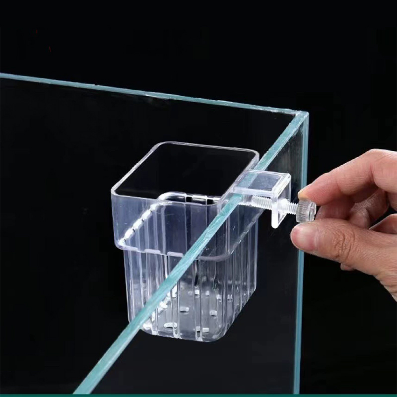 Soporte Transparente para Plan - Aquarium Plants Live reseña y precio