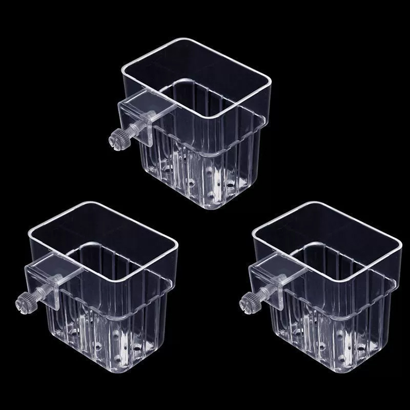 Soporte Transparente para Plan - Aquarium Plants Live reseña y precio