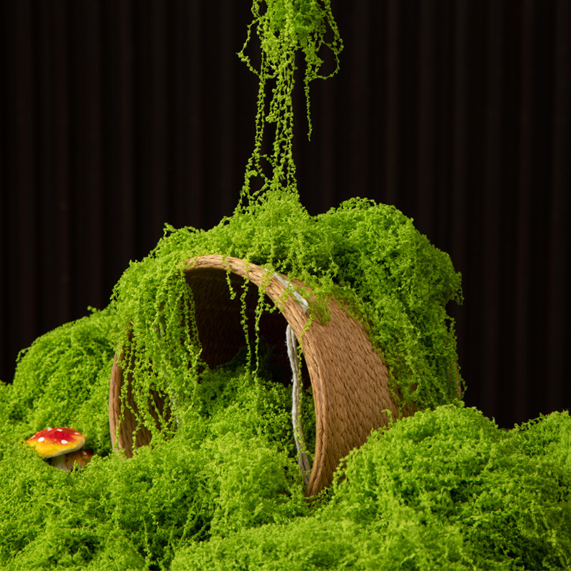 Musgo Eterno de 200g para Manu - Aquarium Moss reseña y precio