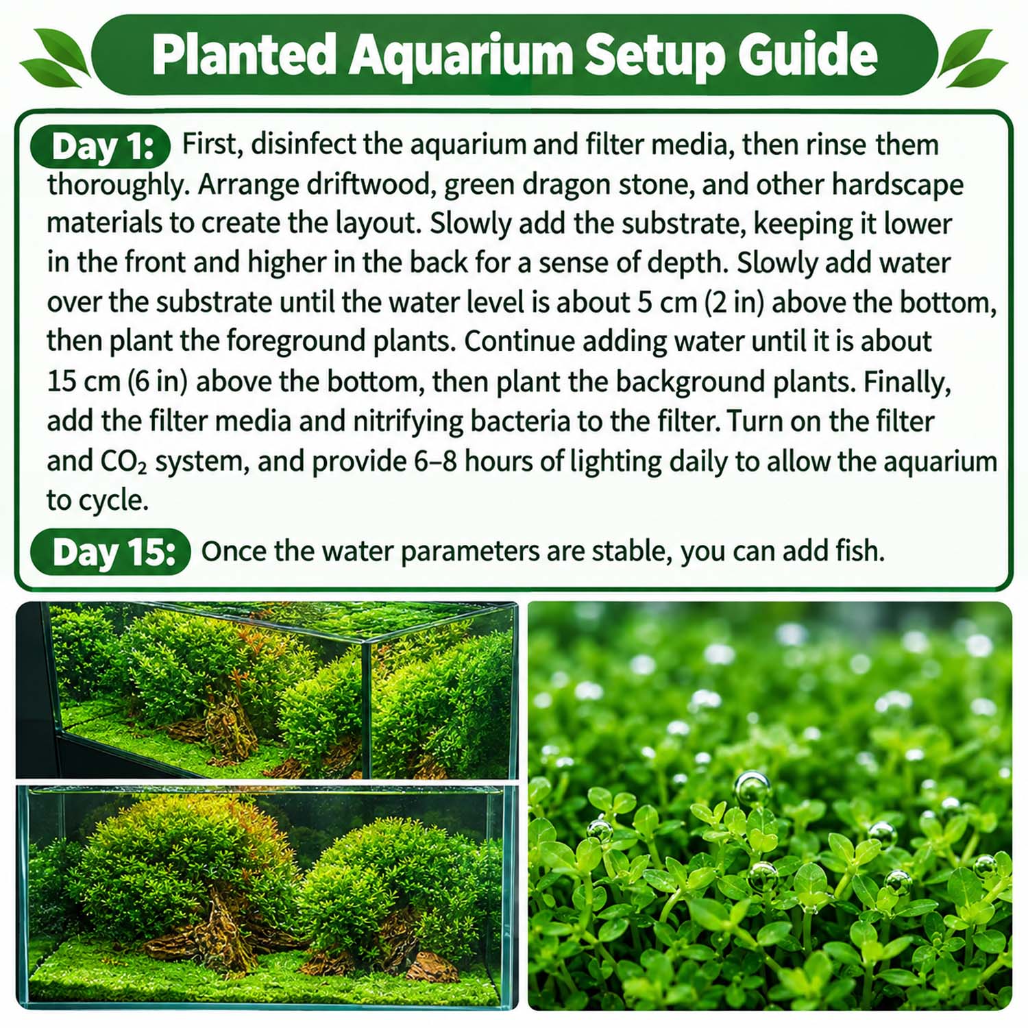 Sustrato para plantas de acuar - Aquarium Plant Substrate reseña y precio