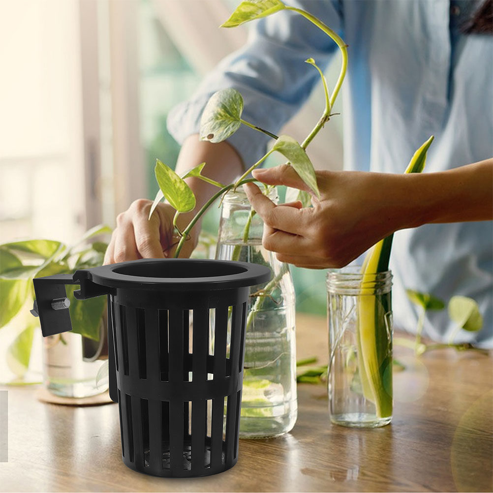 6 unidades de cestas para cult - Aquarium Plant Holder reseña y precio