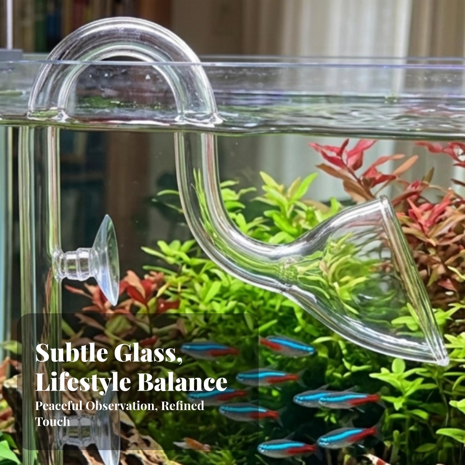 Conjunto de tubos Lily transpa - Aquarium Planted Tank Filter reseña y precio