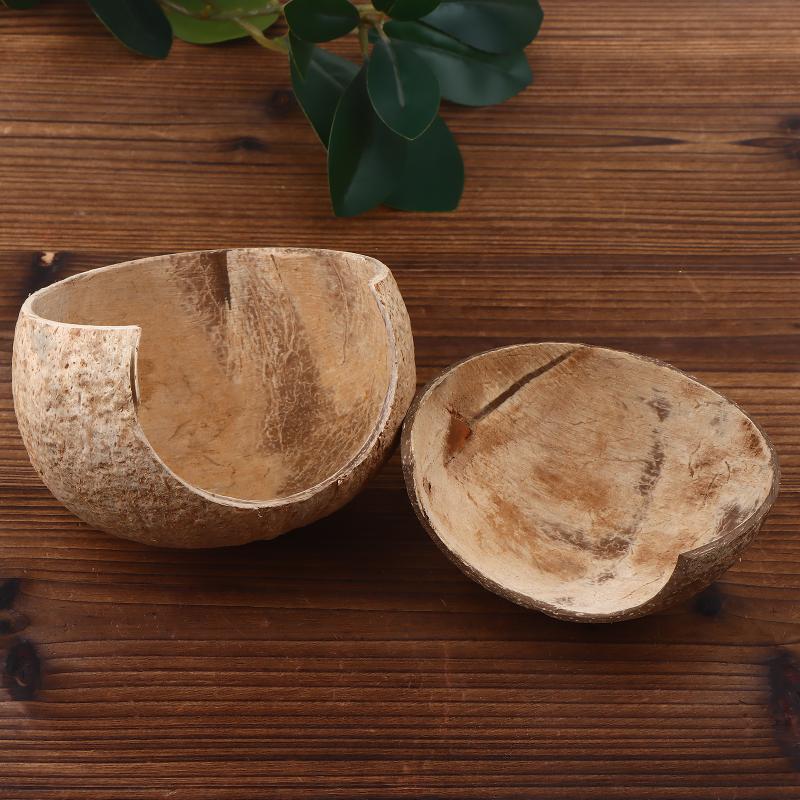 Decoración de Coco para Acuari - Aquarium Driftwood reseña y precio