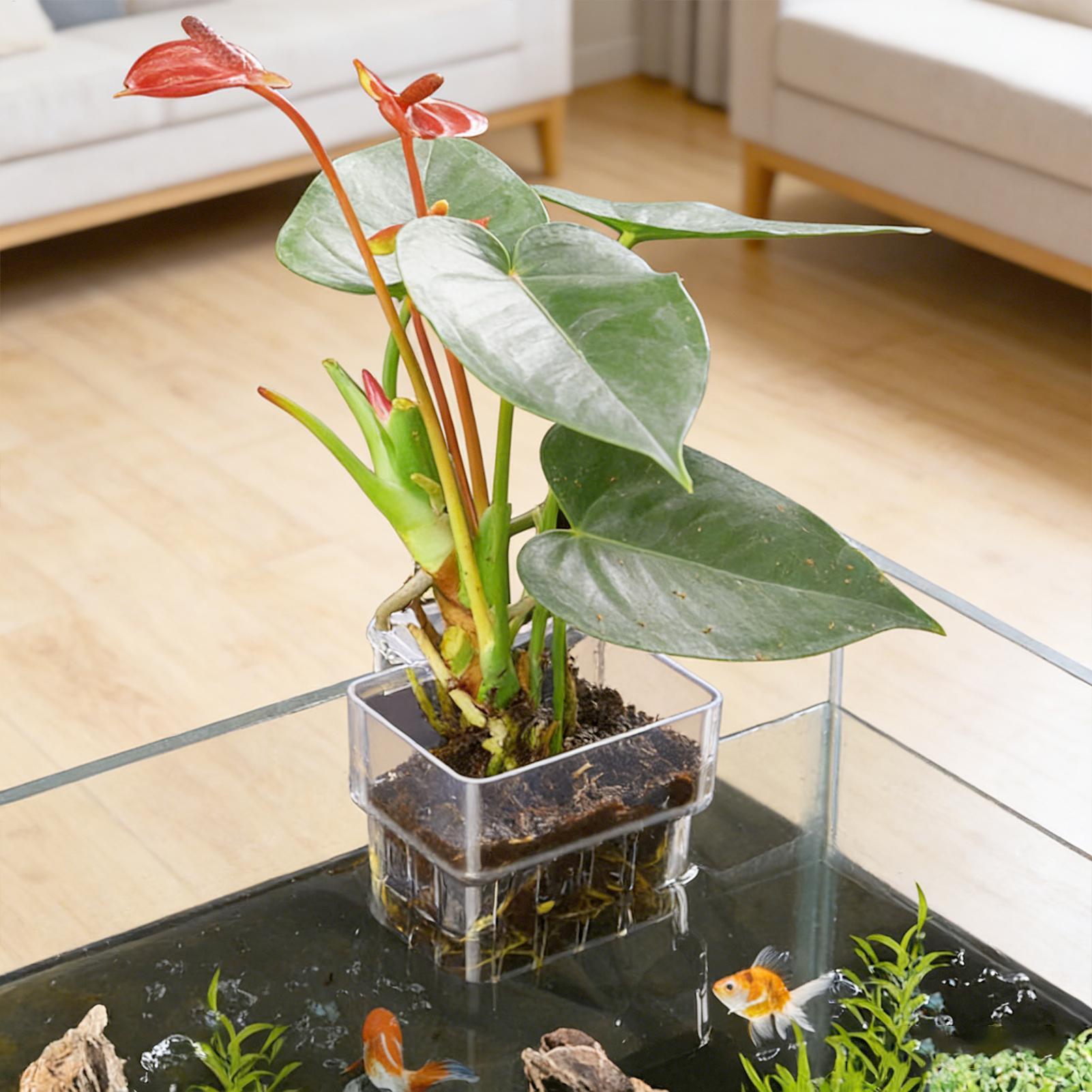 Cesta para Plantas de Acuario, - Plant Aquarium Pot reseña y precio