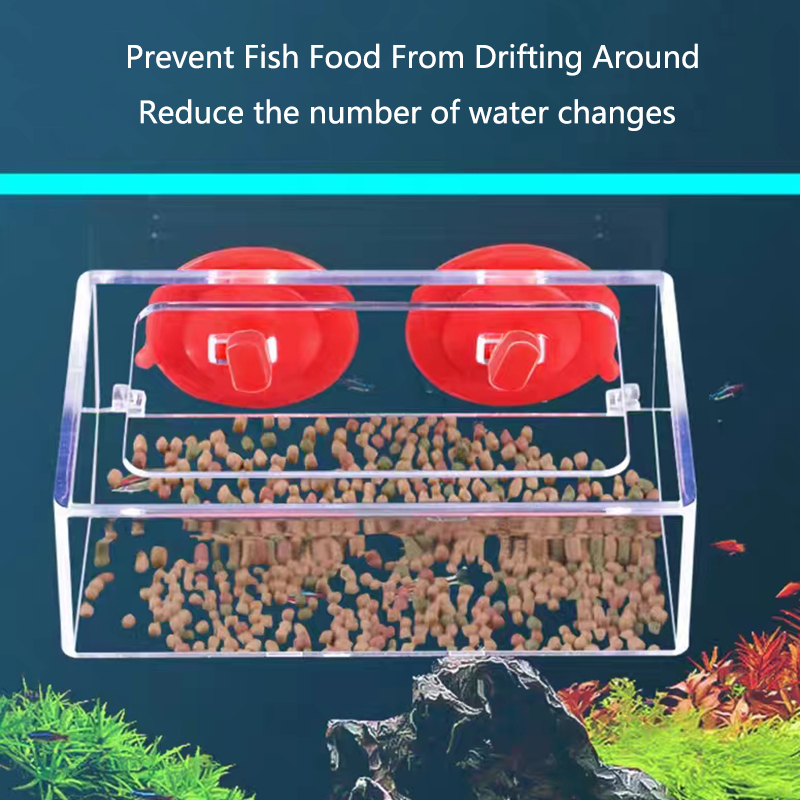 Anillo de alimentación para ac - Aquarium Fertilizer reseña y precio