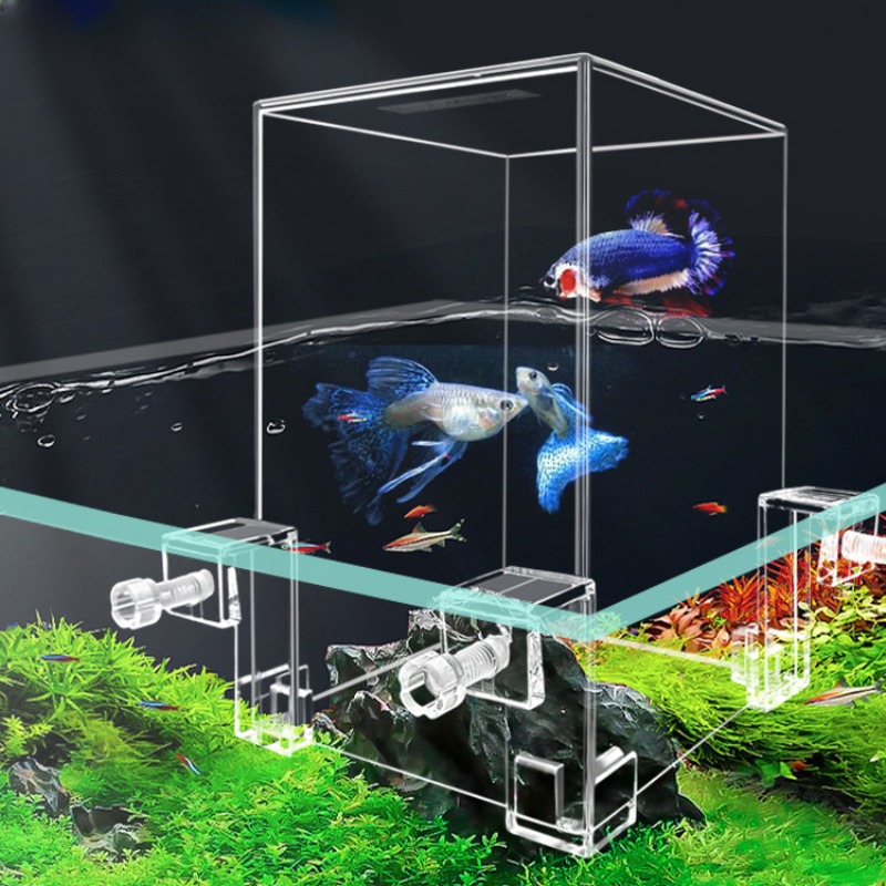 Tanques de acuario creativos,  - Plant Aquarium Pot reseña y precio