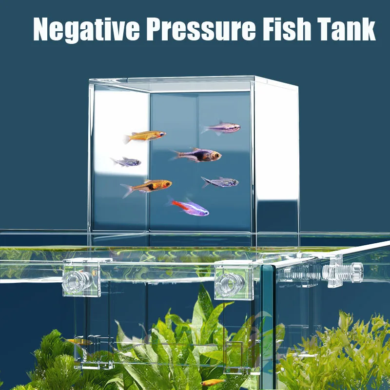 Tanques de acuario creativos,  - Plant Aquarium Pot reseña y precio