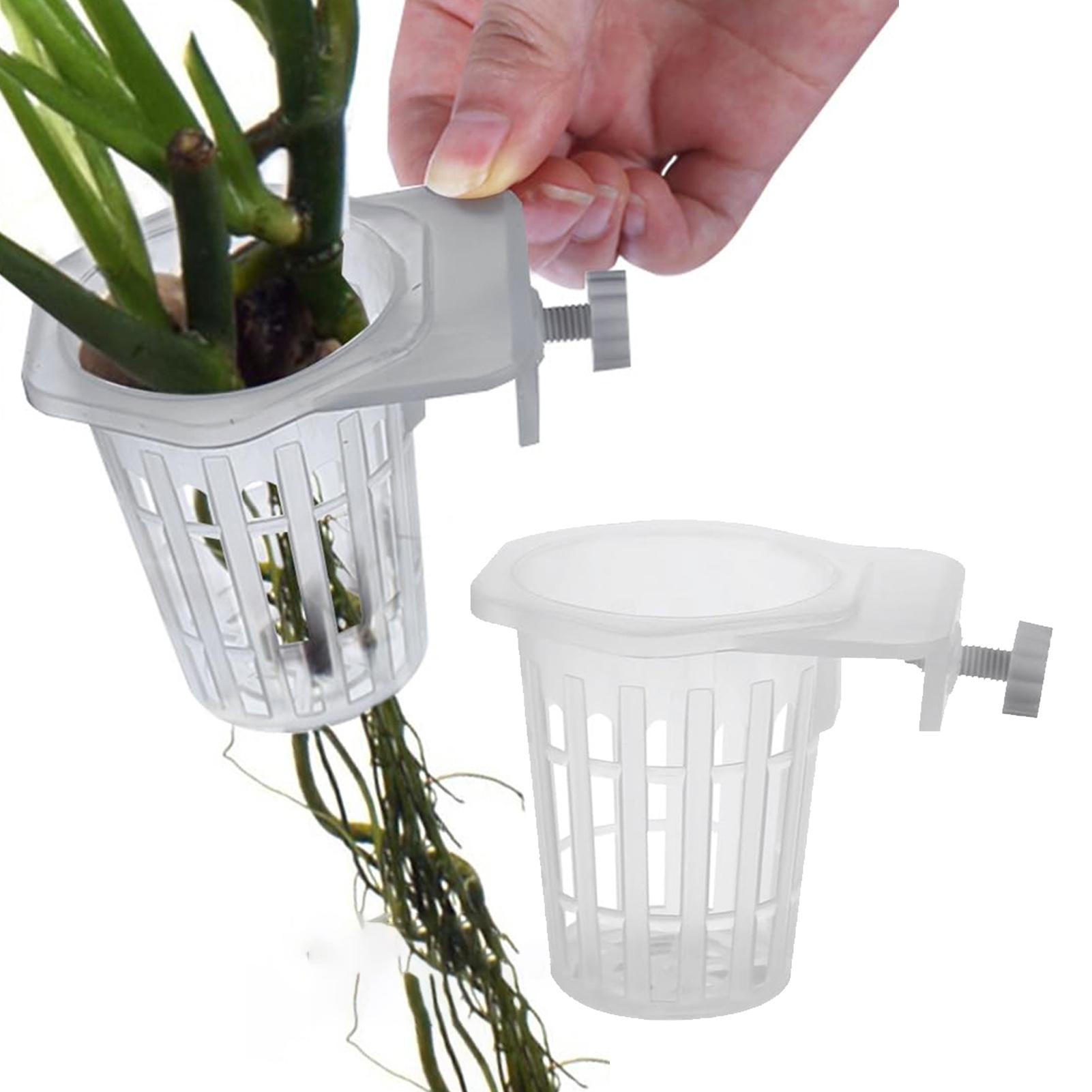 2 unidades de soporte para pla - Aquarium Plant Holder reseña y precio