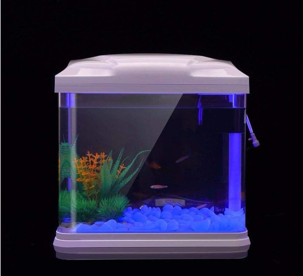 Rocas para pecera, guijarros a - Plant Aquarium Pot reseña y precio