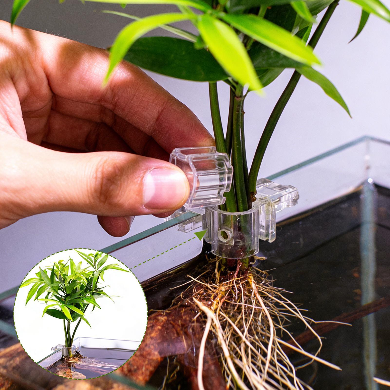 Soportes para plantas de acuar - Aquarium Plants Live reseña y precio