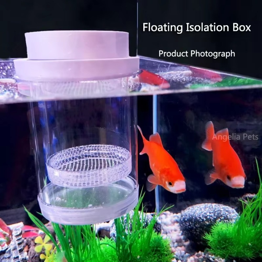 Caja de aislamiento flotante d - Aquarium Fertilizer reseña y precio