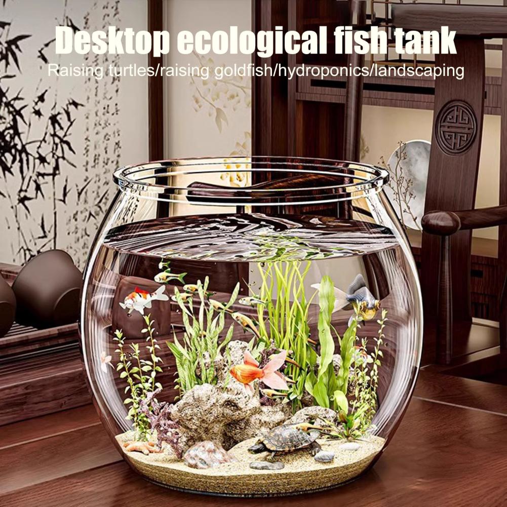Pecera redonda de plástico tra - Plant Aquarium Pot reseña y precio