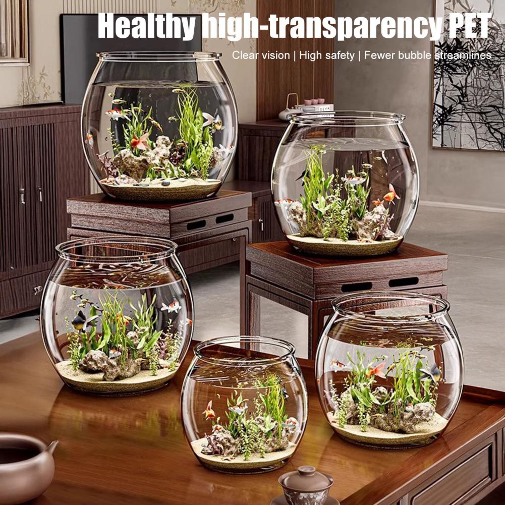 Pecera redonda de plástico tra - Plant Aquarium Pot reseña y precio