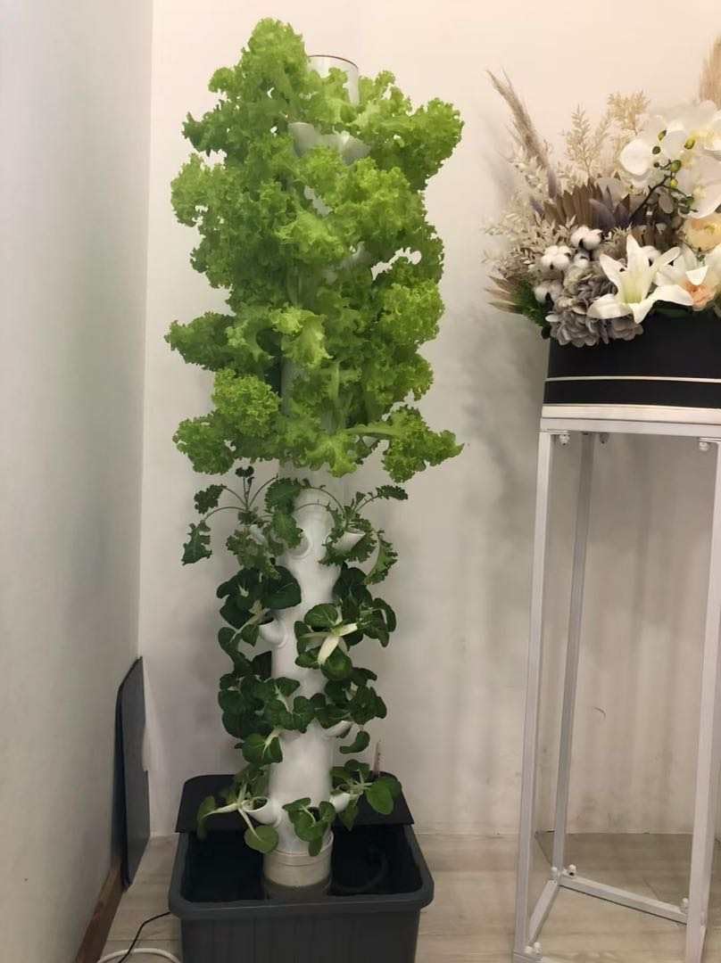 Torre de Cultivo Hidropónico V - Planted Tank reseña y precio