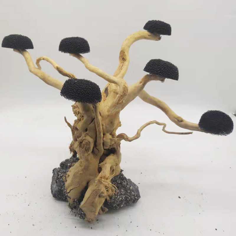 Decoración de paisajismo de ma - Aquarium Plant Substrate reseña y precio