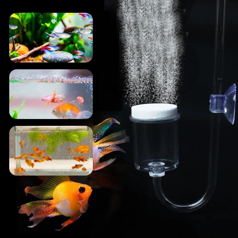 Juego de 4 piezas de difusor d - Aquarium Plants Live reseña y precio